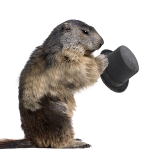 Beaver PNG