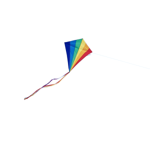 Kite PNG