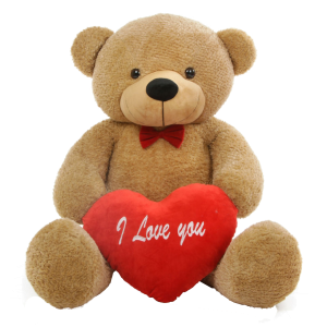 Teddy bear PNG