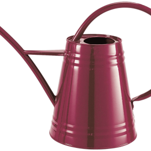 Watering can PNG