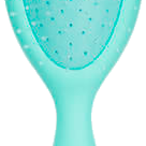 Hairbrush PNG