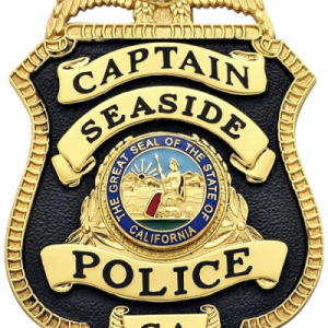 Police badge PNG