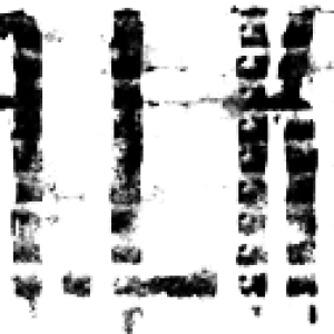 Stalker logo PNG