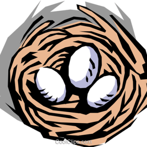 Nest PNG