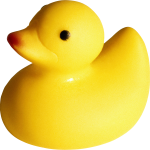 Rubber duck PNG