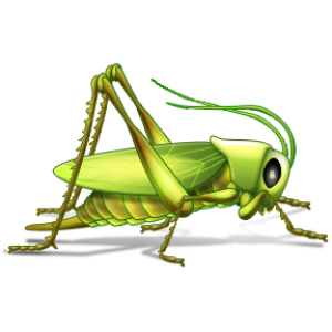 Grasshopper PNG