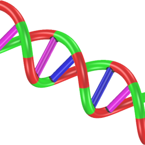 DNA PNG
