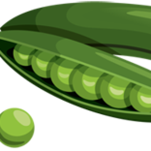 Pea PNG