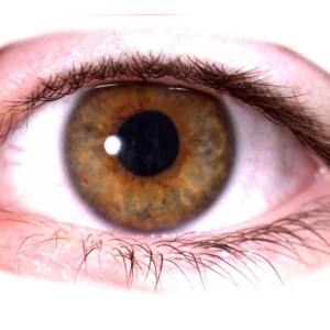 Eye PNG