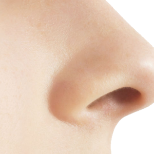 Human nose PNG