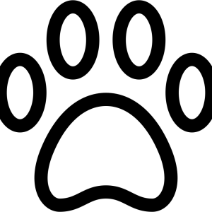 Paw PNG