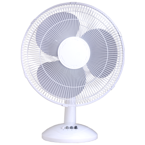 Fan PNG