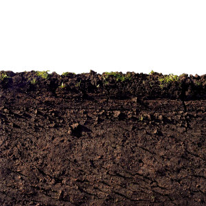 Soil PNG