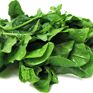 Spinach PNG