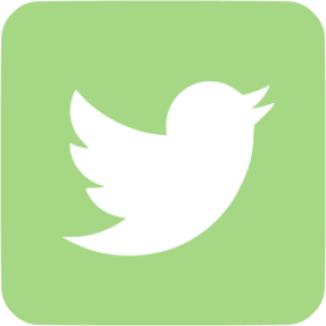 Twitter logo PNG
