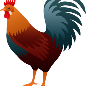 Cock PNG