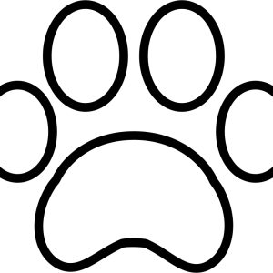 Paw PNG
