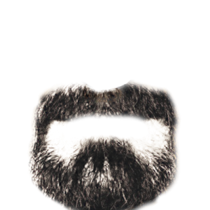 Beard PNG