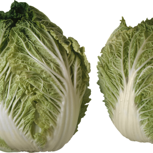Salad PNG image