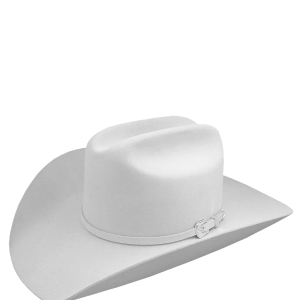 Cowboy hat PNG