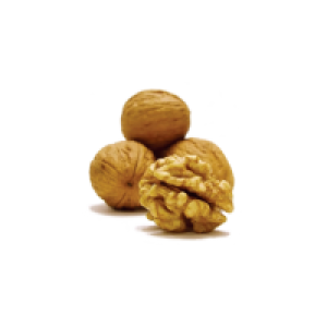 Walnut PNG