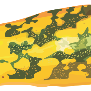 marrow PNG