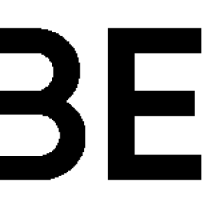 Wildberries logo PNG