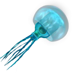 Jellyfish PNG