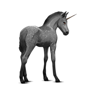 Unicorn PNG