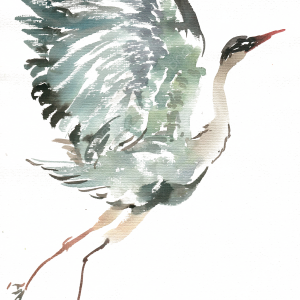Heron PNG