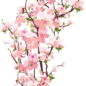 Sakura PNG