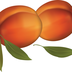Peach PNG image