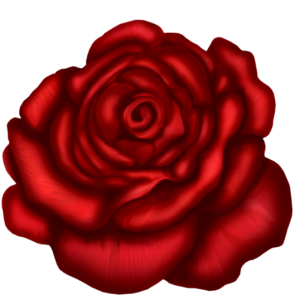 Rose PNG