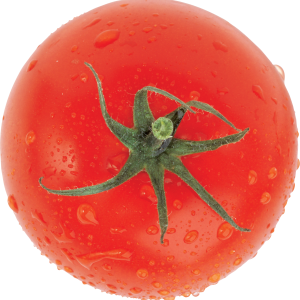 Tomato PNG image transparent