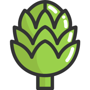 Artichoke PNG