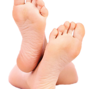 Foot PNG image