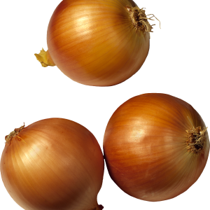 Onion PNG image