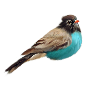 Bird PNG