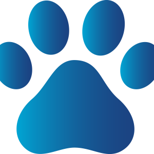 Paw PNG