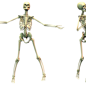 Skeleton PNG