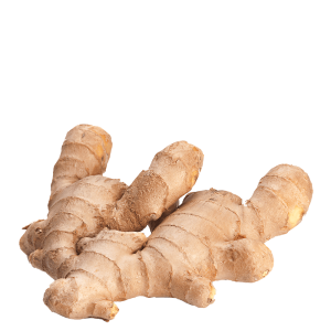 Ginger PNG