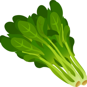 Spinach PNG