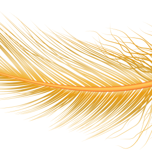 Feather PNG