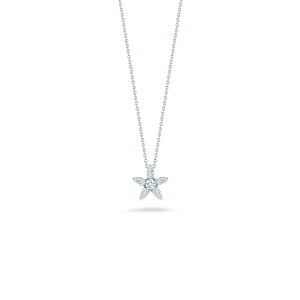 Necklace PNG