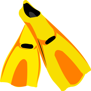 Flippers PNG