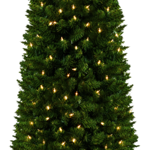 Christmas tree PNG