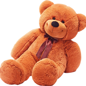 Teddy bear PNG
