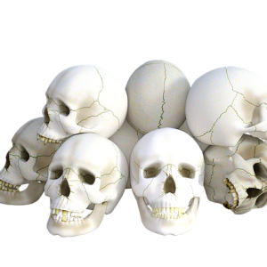 Skulls PNG