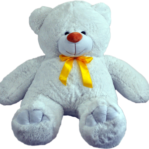 Teddy bear PNG