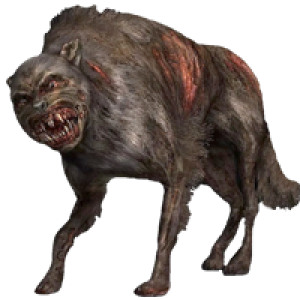 S.T.A.L.K.E.R. PNG, Stalker PNG